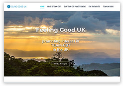 Website for Feeling Good UK