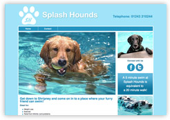 web-splashhounds